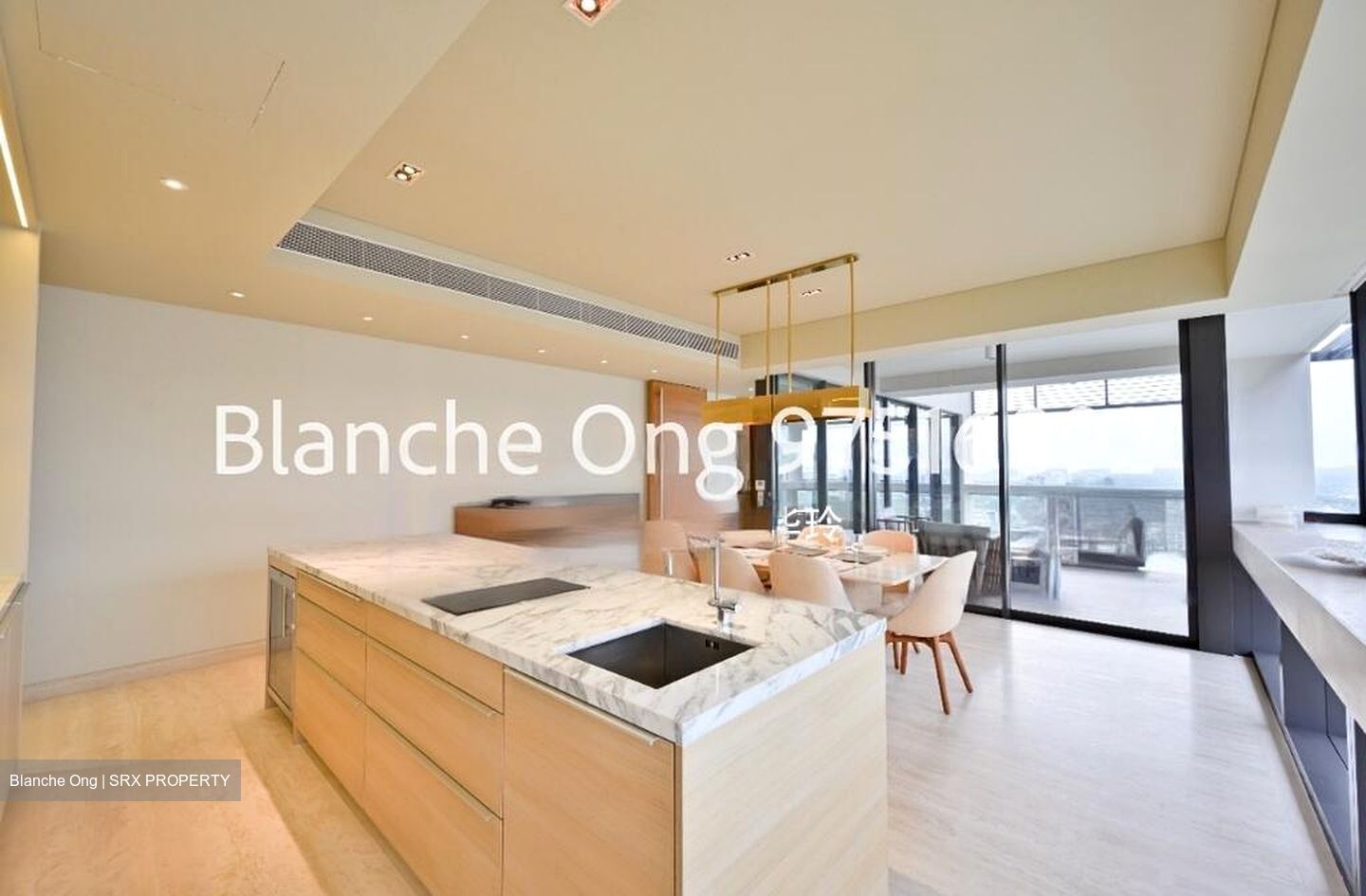 Hana (D10), Condominium #511288141